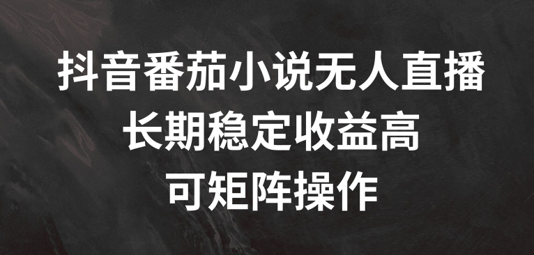 抖音番茄小说无人直播，长期稳定收益高，可矩阵操作插图