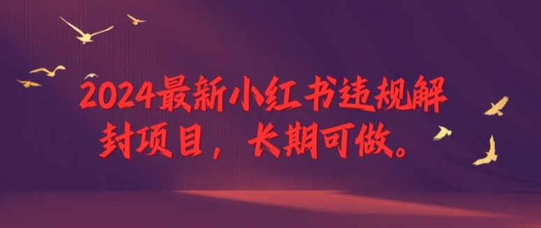 2024最新小红书违规解封项目，长期可做，一个可以做到退休的项目插图