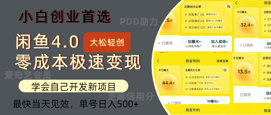 （12434期）闲鱼0成本极速变现项目，多种变现方式 单号日入500+最新玩法插图
