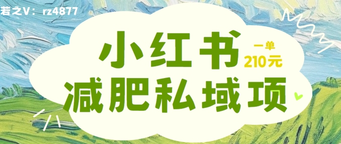 小红书减肥粉，私域变现项目，一单就达210元，小白也能轻松上手插图