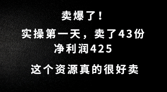 这个资源，需求很大，实操第一天卖了43份，净利润425插图