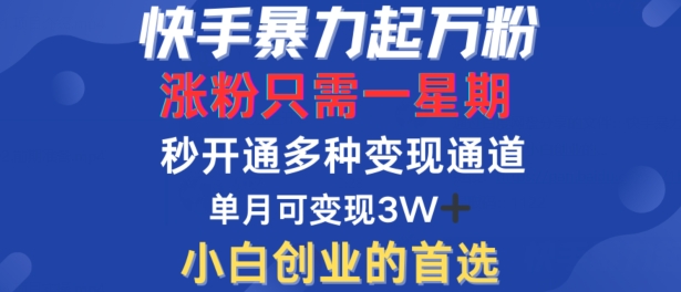 快手暴力起万粉，涨粉只需一星期，多种变现模式，直接秒开万合，单月变现过W插图