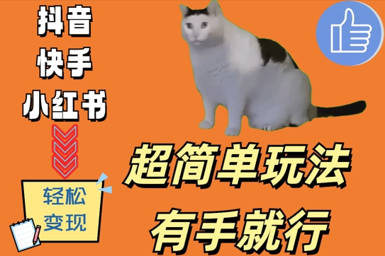 超简单玩法，有手就行，靠猫咪视频日入500+插图