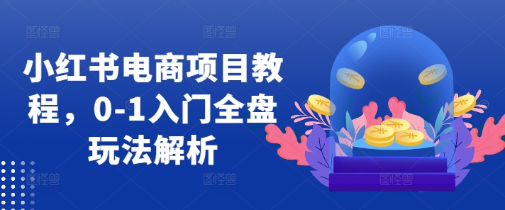 小红书电商项目教程，0-1入门全盘玩法解析插图