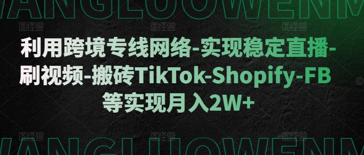利用跨境专线网络-实现稳定直播-刷视频-搬砖TikTok-Shopify-FB等实现月入2W+插图
