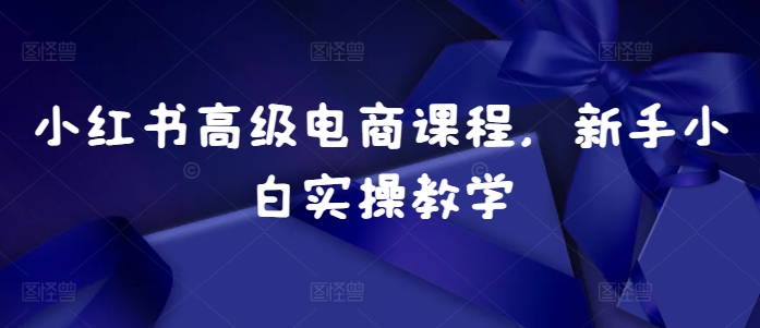 小红书高级电商课程，新手小白实操教学插图