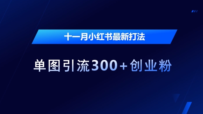 十一月小红书最新打法，单图引流300+创业粉插图
