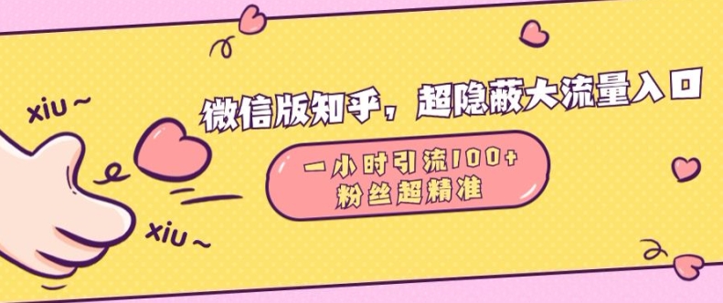 微信版知乎，超隐蔽流量入口1小时引流100人，粉丝质量超高插图