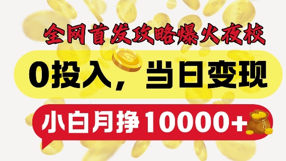 全网首发爆火夜校，0投入，当日变现，小白轻松月入1w+插图