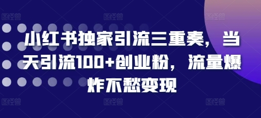 小红书独家引流三重奏，当天引流100+创业粉，流量爆炸不愁变现插图