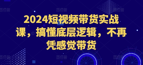 2024短视频带货实战课，搞懂底层逻辑，不再凭感觉带货插图