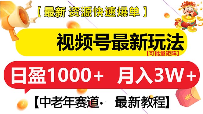 （13530期）视频号最新玩法 中老年赛道 月入3W+插图