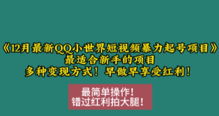 12月最新QQ小世界短视频暴力起号项目，最适合新手的项目，多种变现方式插图
