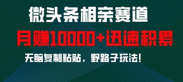 微头条相亲赛道，迅速积累，无脑复制粘贴，野路子玩法，月入1w插图