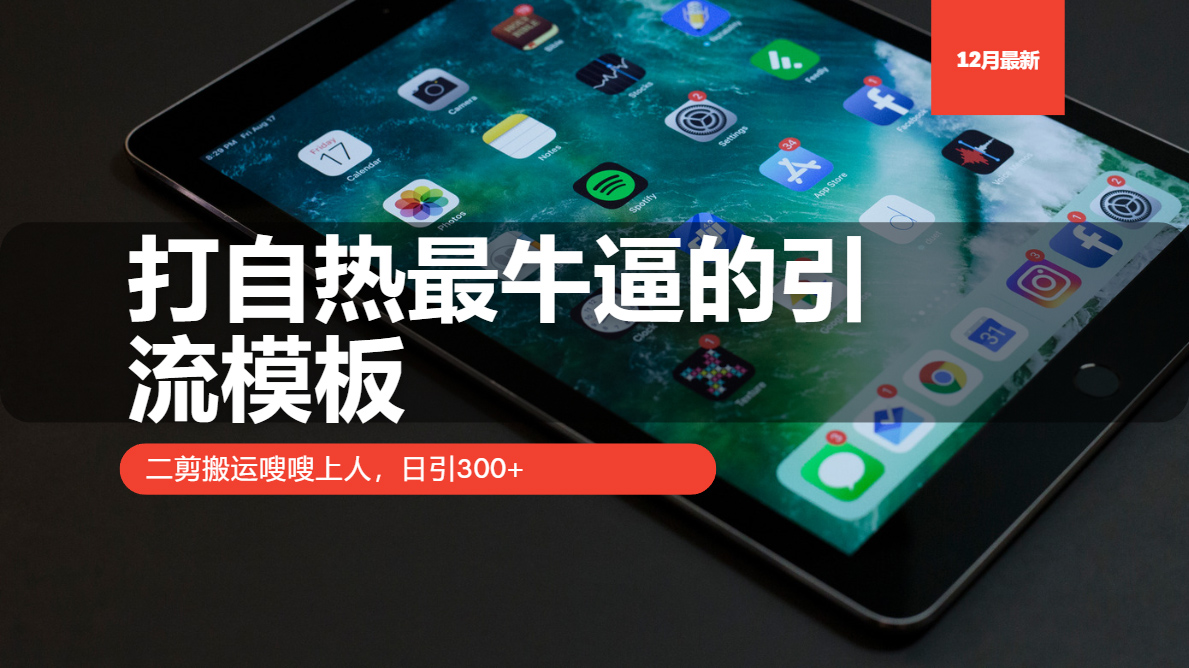 （13654期）打自热最牛逼的引流模板，二剪搬运嗖嗖上人，日引300+插图
