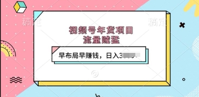 视频号年货项目，流量贼猛，早布局早挣钱，日入上k插图