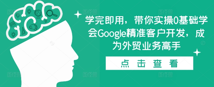 学完即用，带你实操0基础学会Google精准客户开发，成为外贸业务高手插图