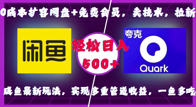 0成本扩容网盘+免费会员，卖技术，拉新，咸鱼最新玩法，实现多重管道收益，一鱼多吃，轻松日入500+插图