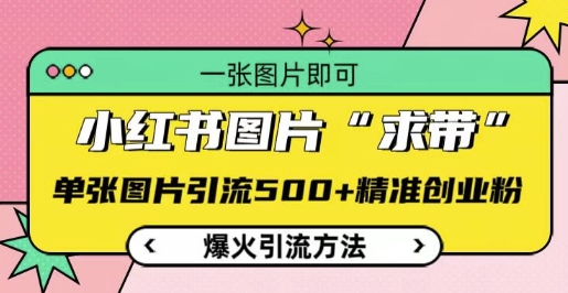 小红书图片‘求带’爆火引流法，单张图片引流500+精准创业粉插图
