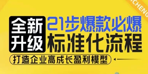 21步爆款必爆标准化流程，全新升级，打造企业高成长盈利模型插图
