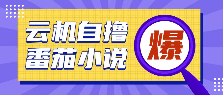 首发云手机自撸小说玩法，10块钱成本可撸200+收益操作简单插图