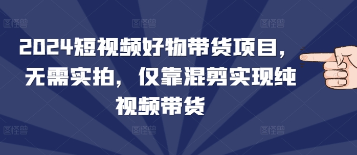 2024短视频好物带货项目，无需实拍，仅靠混剪实现纯视频带货插图