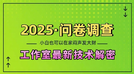 2025问卷调查最新工作室技术解密：一个人在家也可以闷声发大财，小白一天2张，可矩阵放大插图