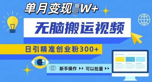 无脑搬运视频号可批量复制，新手即可操作，日引精准创业粉300+，月变现过W插图