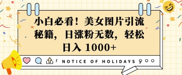 小白必看，美女图片引流秘籍，日涨粉无数，轻松日入几张插图