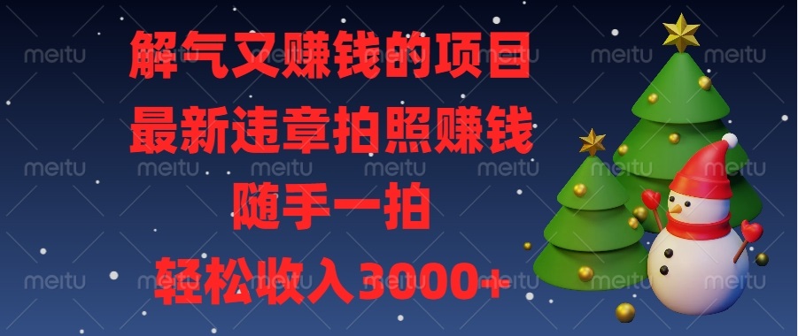 （13804期）解气又赚钱的项目，最新违章拍照赚钱，随手一拍，轻松收入3000+插图