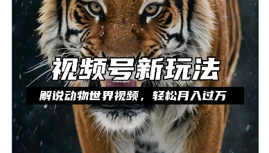 利用动物世界解说视频，赚分成计划收益，轻松月入过W，操作简单插图