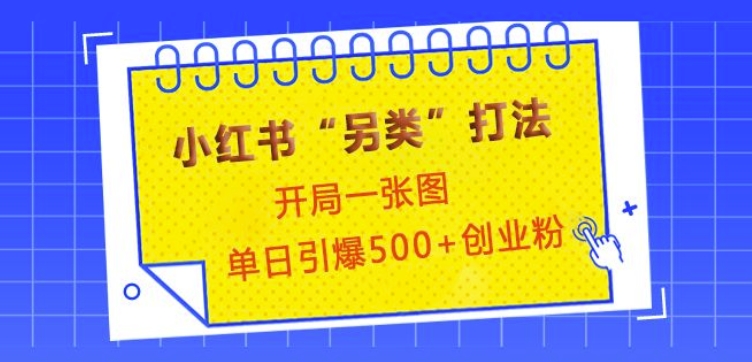 小红书“另类”打法，开局一张图，单日引爆500+精准创业粉插图