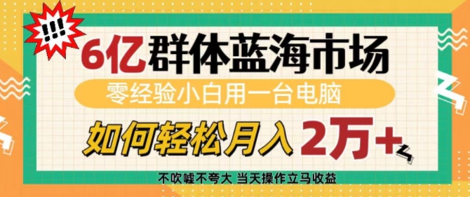 6亿群体蓝海市场，零经验小白用一台电脑，如何轻松月入过w插图