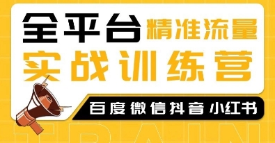 全平台精准流量实战训练营，百度微信抖音小红书SEO引流教程插图