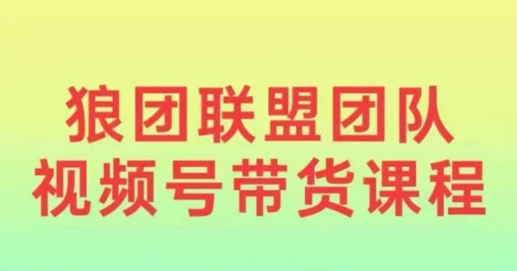 狼团联盟2024视频号带货，0基础小白快速入局视频号插图
