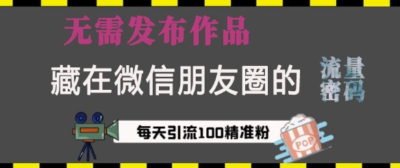 藏在微信朋友圈的流量密码，无需发布作品，单日引流100+精准创业粉插图