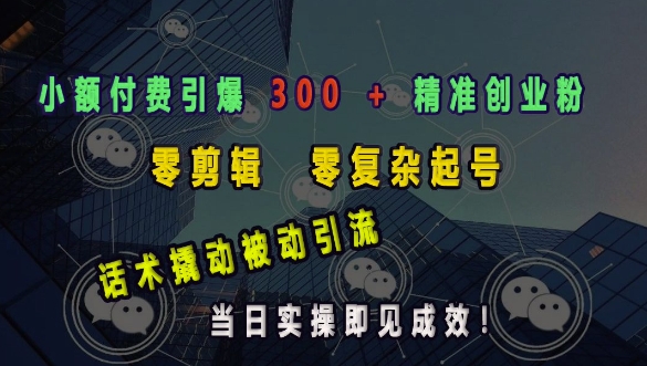 小额付费引爆 300 + 精准创业粉，零剪辑、零复杂起号，话术撬动被动引流，当日实操即见成效插图