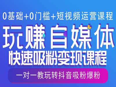 0基础+0门槛+短视频运营课程，玩赚自媒体快速吸粉变现课程，一对一教玩转抖音吸粉爆粉插图