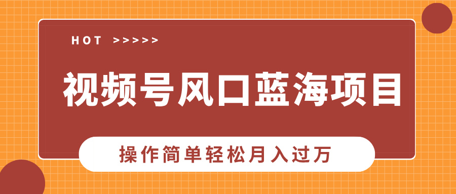 （13945期）视频号风口蓝海项目，中老年人的流量密码，操作简单轻松月入过万插图