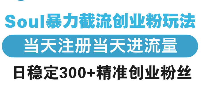 （13935期）Soul暴力截流创业粉玩法，当天注册当天进流量，日稳定300+精准创业粉丝插图