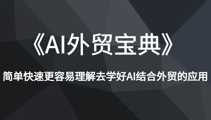 《AI外贸宝典》简单快速更容易理解去学好AI结合外贸的应用插图