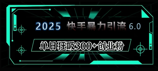 2025年快手6.0保姆级教程震撼来袭，单日狂吸300+精准创业粉插图