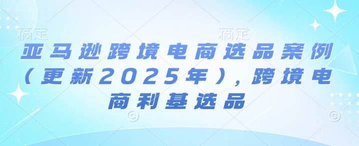 亚马逊跨境电商选品案例(更新2025年)，跨境电商利基选品插图