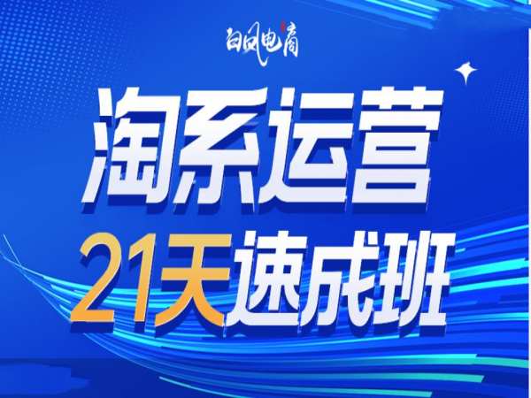 淘系运营21天速成班35期，年前最后一波和2025方向插图