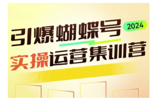 引爆蝴蝶号实操运营，助力你深度掌握蝴蝶号运营，实现高效实操，开启流量变现之路插图