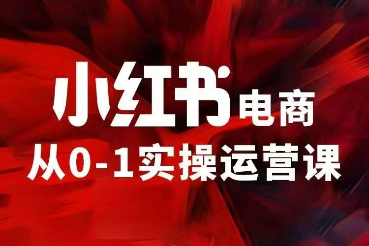 小红书电商运营，97节小红书vip内部课，带你实现小红书赚钱插图