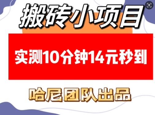 搬砖小项目，实测10分钟14元秒到，每天稳定几张(赠送必看稳定)插图