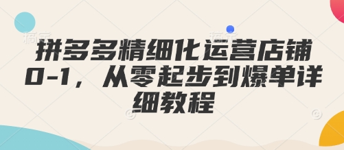 拼多多精细化运营店铺0-1，从零起步到爆单详细教程插图