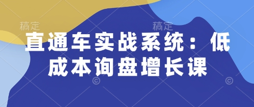 直通车实战系统：低成本询盘增长课，让个人通过技能实现升职加薪，让企业低成本获客，订单源源不断插图
