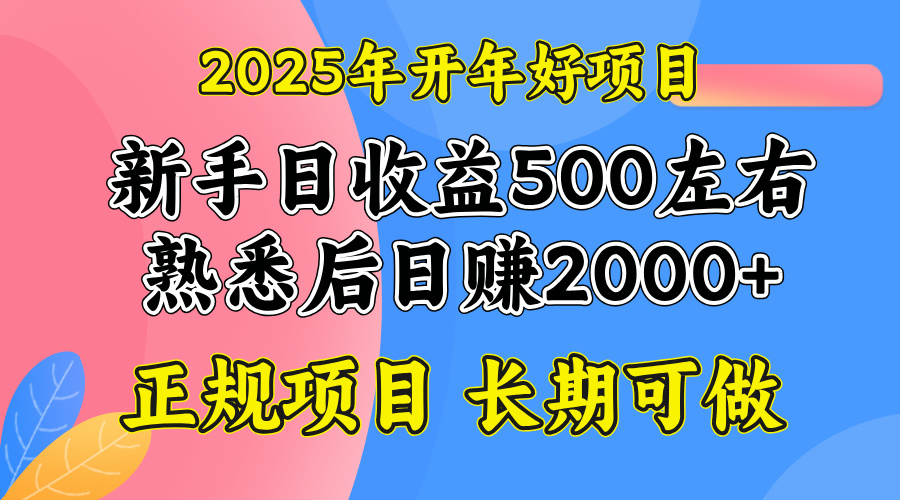 （14076期）2025开年好项目，单号日收益2000左右插图